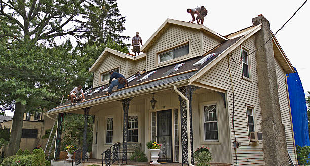 Best Roof Gutter Cleaning  in Glasgow, MT