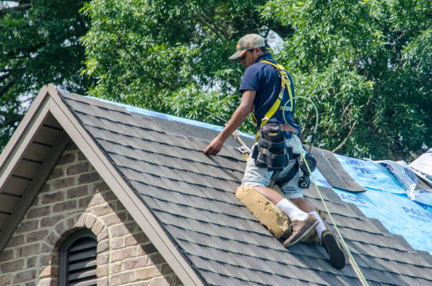 Best Residential Roofing Contractor  in Glasgow, MT